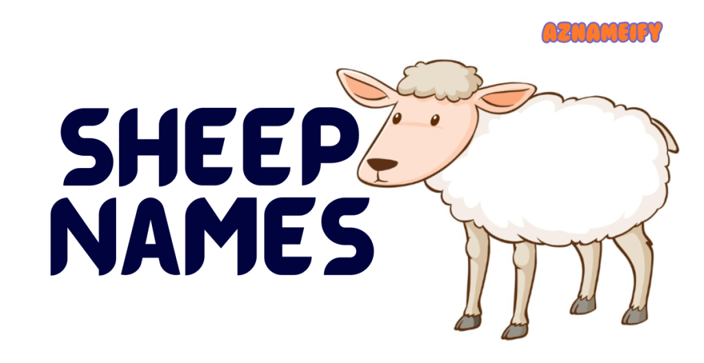 600+ Sheep Names Creative Unique Funny Cute Epic & Cool